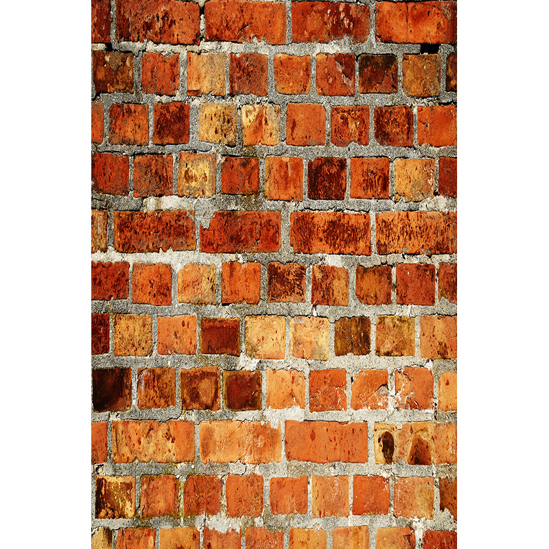 Vintage Brick Wall Grungy Phot - Baby Products Photos review and price
